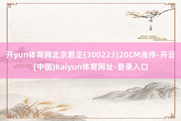 开yun体育网北京君正(300223)20CM涨停-开云(中国)kaiyun体育网址-登录入口