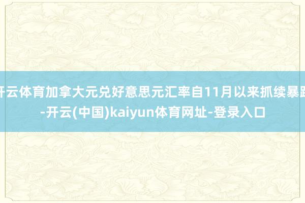 开云体育加拿大元兑好意思元汇率自11月以来抓续暴跌-开云(中国)kaiyun体育网址-登录入口