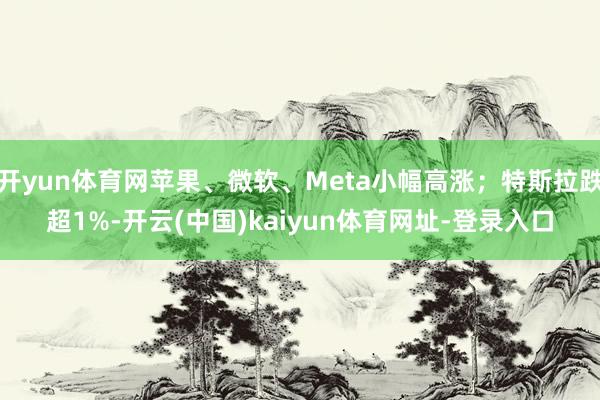 开yun体育网苹果、微软、Meta小幅高涨；特斯拉跌超1%-开云(中国)kaiyun体育网址-登录入口