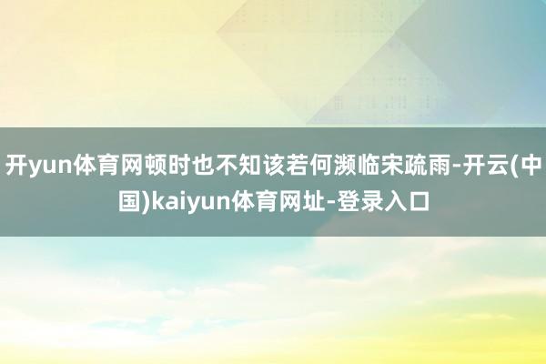 开yun体育网顿时也不知该若何濒临宋疏雨-开云(中国)kaiyun体育网址-登录入口