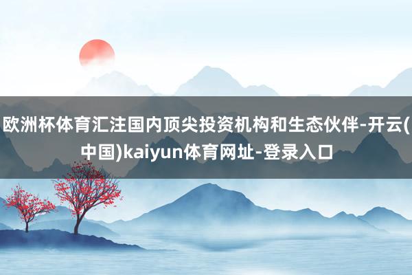 欧洲杯体育汇注国内顶尖投资机构和生态伙伴-开云(中国)kaiyun体育网址-登录入口