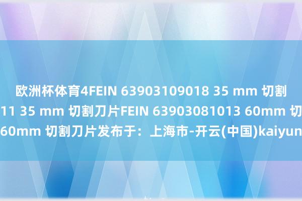 欧洲杯体育4FEIN 63903109018 35 mm 切割刀片FEIN 63903073011 35 mm 切割刀片FEIN 63903081013 60mm 切割刀片发布于：上海市-开云(中国)kaiyun体育网址-登录入口
